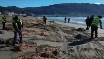 Plazhi i Vjetër në Vlorë po pastrohet (video)