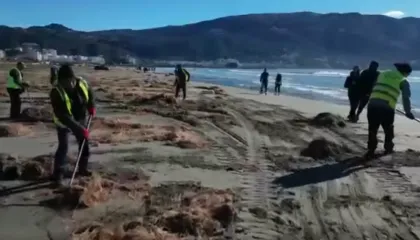 Plazhi i Vjetër në Vlorë po pastrohet (video)