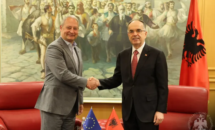 Presidenti Begaj pret në takim raportuesin për Shqipërinë në Parlamentin Evropian