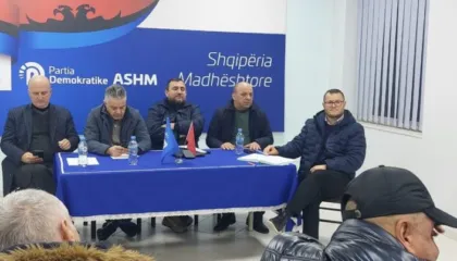 Protesta, Bozdo takim me strukturat e PD në Berat