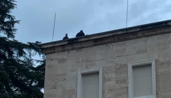 Protesta/ Snajper në tarracë dhe forca të shumta policie