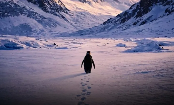 Pse ‘marshimi i vdekjes’ i një pinguini po bëhet viral? Çfarë domethënie ka ‘Pinguini Nihilist’ që e ka bërë internetin të mendojë shumë për jetën