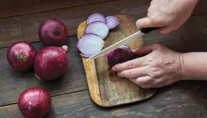 Qepa, ilaçi që shëron të gjitha këto sëmundje