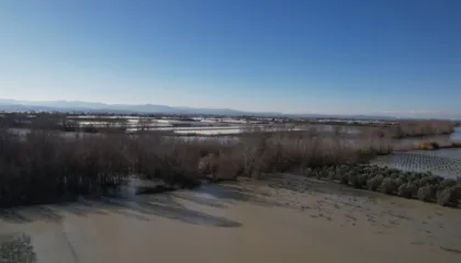 Qindra hektarë tokë bujqësore të përmbytura në Lushnjë, uji nuk largohet nga gjashtë fshatra. Banorët: Çdo e mbjellë është kalbëzuar