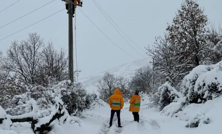 Reshje dëbore me intensitet të lartë në qarkun e Elbasan, aksi Librazhd-Peshkopi i pakalueshëm, pa energji elektrike disa zona