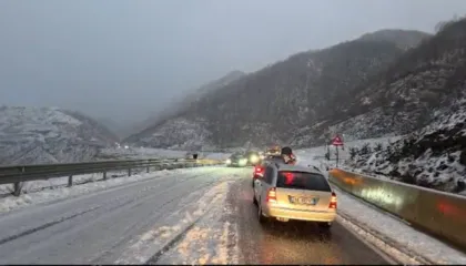 Reshje intensive dëbore, probleme serioze në Rrugën e Arbrit