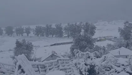 Reshje shiu dhe dëbore, si pritet të jetë kjo e diel