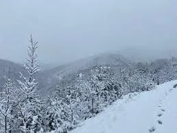 Reshje të dendura bore/ Bllokohet aksi Krujë–Qafë Shtamë, izolohen disa fshatra