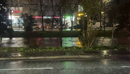 Reshjet intensive/ Lana ‘ngjitet’ te lulishtja, rrezikon të dalë në rrugë