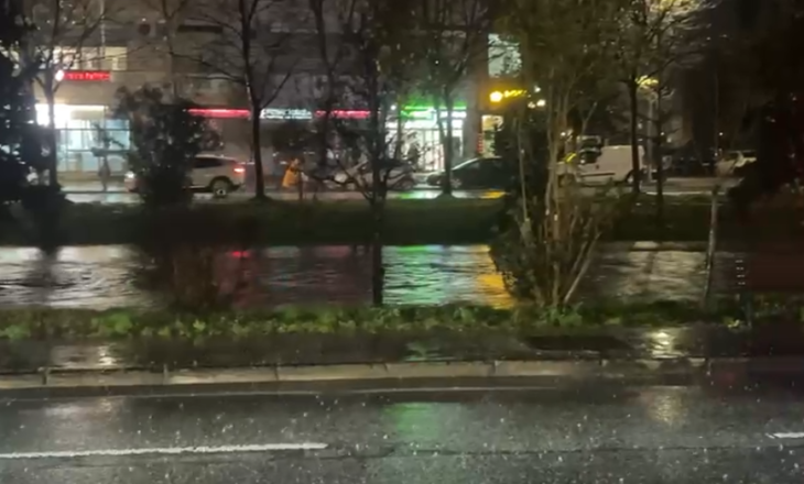 Reshjet intensive/ Lana ‘ngjitet’ te lulishtja, rrezikon të dalë në rrugë