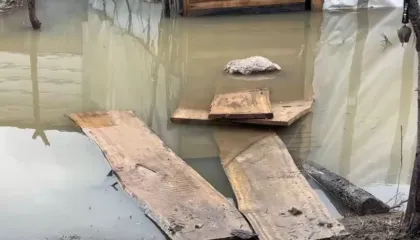 Reshjet përmbytin Qarkun e Lezhës, familje të izoluara në Kurbin