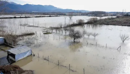 Rikthehet moti i keq, Agjencia e Mbrojtjes Civile: Bashkitë në zonat me risk të lartë të forcojnë gatishmërinë
