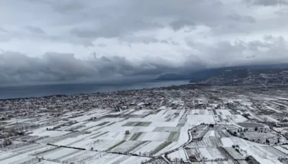 Rikthen reshjet e dëborës në vend, ‘zbardhet’ Pogradeci, pamje mahnitëse nga liqeni