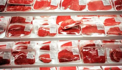 Rritje shqetësuese e përdorimit të antibiotikëve në industrinë e mishit në SHBA