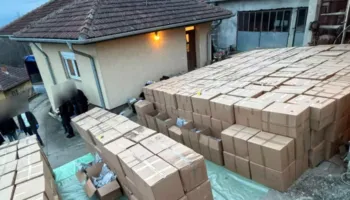 Serbia sekuestron 5 tonë marihuanë