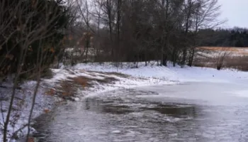 SHBA nën pushtetin e dimrit: Mbi 40 të vdekur dhe ndërprerje masive të energjisë