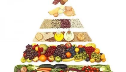 SHBA përmbys piramidën ushqimore. Udhëzimet e reja që ndezin debat