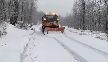 Shembet rruga në Prekal nga moti i keq, mungesë energjie në disa fshatra në Vaun e Dejës