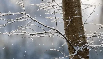 Shi dhe dëborë/ Temperatura deri në -3 gradë! Ja parashikimi i motit për ditën e sotme