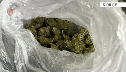 Shiste drogë në lokalin e tij, arrestohet 49-vjeçari në Pogradec