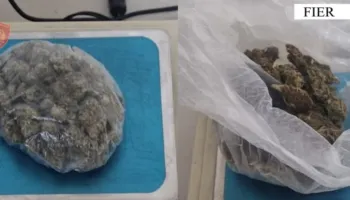 Shiste kanabis në Fier dhe Patos, arrestohet 49-vjeçari