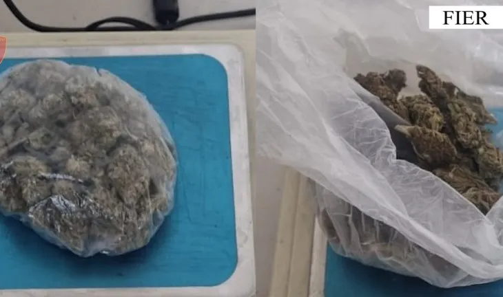 Shiste kanabis në Fier dhe Patos, arrestohet 49-vjeçari