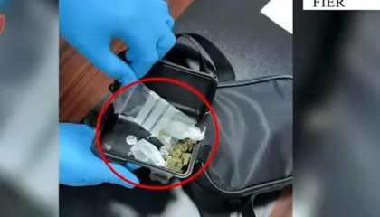 Shiste kanabis të ndarë me doza, arrestohet 31-vjeçari (Emri)