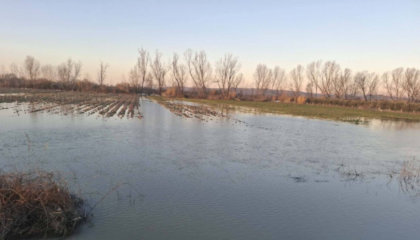 Shkarkimet nga digat dhe kanalet e bllokuara, rritet sipërfaqja e serrave të përmbytura
