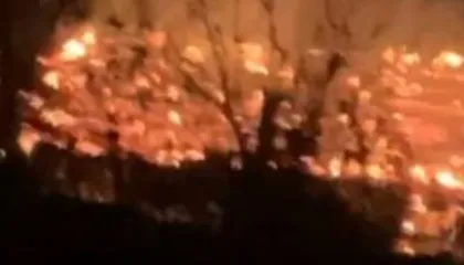 Shkrumbohet banesa në Elbasan, katër anëtarë të familjes mbeten në qiell të hapur