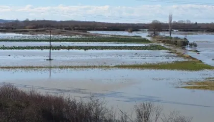 Shkumbini del nga shtrati në Thanasaj, 30 shtëpi dhe qindra hektarë tokë bujqësore nën ujë në Lushnje