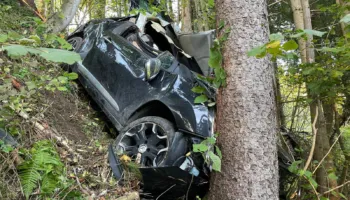 Shoferi i dehur në timon, makina del nga rruga dhe përplaset me pemën/ Humb jetën pasagjeri