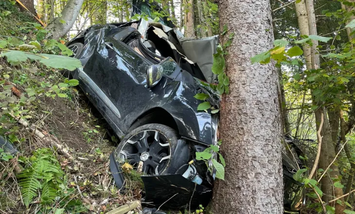 Shoferi i dehur në timon, makina del nga rruga dhe përplaset me pemën/ Humb jetën pasagjeri