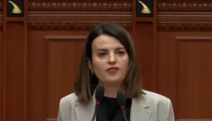 Shoqërimi i të miturit gjatë protestës së PD, Koçiu: Gjuajti me gurë efektivët, çdo veprim u krye sipas ligjit (VIDEO)