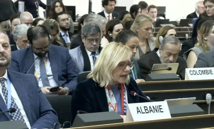 Shqipëria dënon dhunën ndaj protestuesve në Iran! Ambasadorja në OKB: Shkelje e hapur e të drejtës ndërkombëtare!