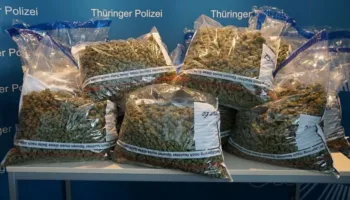 Shqiptarët po mbushin Gjermaninë me kanabis/ Kapet një sasi rekord me vlerë 1.4 mln euro