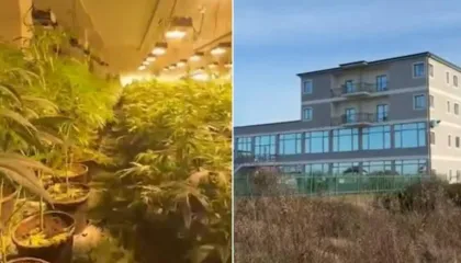 “Shtëpia e barit” në Lezhë/ Lihen në burg babë e bir, arrest shtëpie për punonjësin e OSHEE (EMRAT)