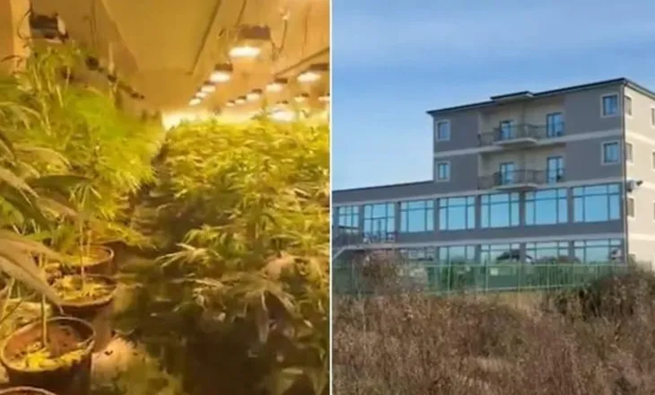 “Shtëpia e barit” në Lezhë/ Lihen në burg babë e bir, arrest shtëpie për punonjësin e OSHEE (EMRAT)