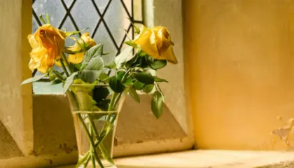 Si ta forconi sistemin imunitar në 7 ditë