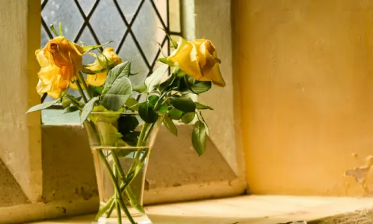 Si ta forconi sistemin imunitar në 7 ditë