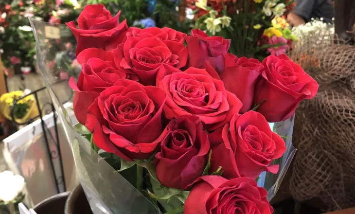 Si të kujdeseni për lulet e ambientit të brendshëm