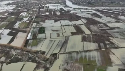 Situata nga reshjet, 266 hektarë tokë ende nën ujë në Shkodër/ Rruga për në Obot e kalueshme vetëm me mjete të larta