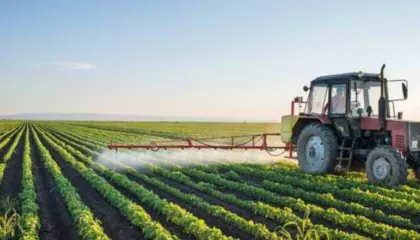 Skema kombëtare e bujqësisë, këtë vit 5.2 mld lekë për fermerët! Komisioni Europian: S’ka ende datë për zhbllokimin…