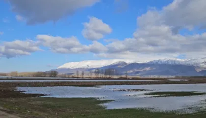 Sovjani i përmbytur në Maliq, të mbjellat me grurë dhe misër janë shkatërruar
