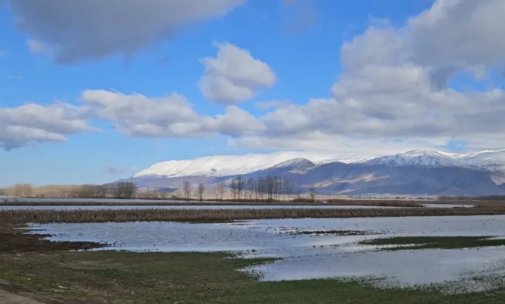 Sovjani i përmbytur në Maliq, të mbjellat me grurë dhe misër janë shkatërruar