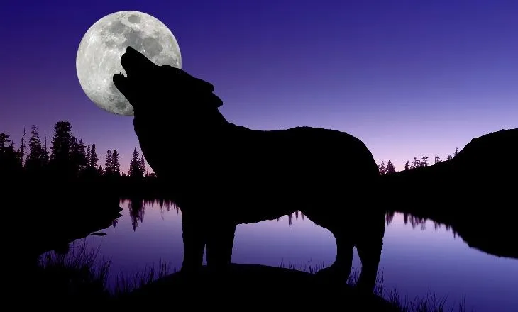 “Spektakël qiellor”, sonte mos harroni të shihni ‘Hënën e Ujkut’! Shenjat e horoskopit që do të preken nga ky fenomen