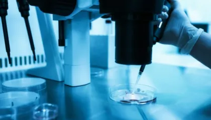 Studimi: Ripërtëritja e qelizave te vezët jep shpresë për suksesin e fertilizimit in vitro tek të moshuarit