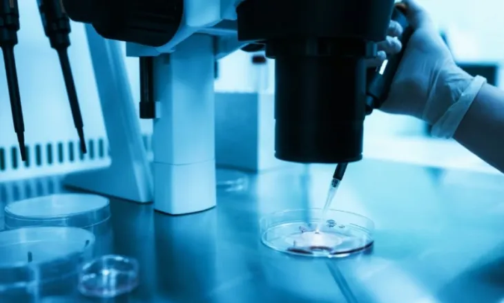 Studimi: Ripërtëritja e qelizave te vezët jep shpresë për suksesin e fertilizimit in vitro tek të moshuarit