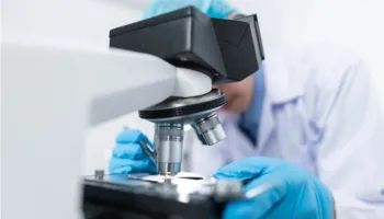 Superbakteri ‘Candida auris’ identifikohet për herë të parë në Portugali