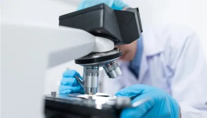 Superbakteri ‘Candida auris’ identifikohet për herë të parë në Portugali