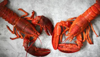 Të destinuara për dyqanet Costco në SHBA, vidhen karavidhe me vlerë 400,000 dollarë